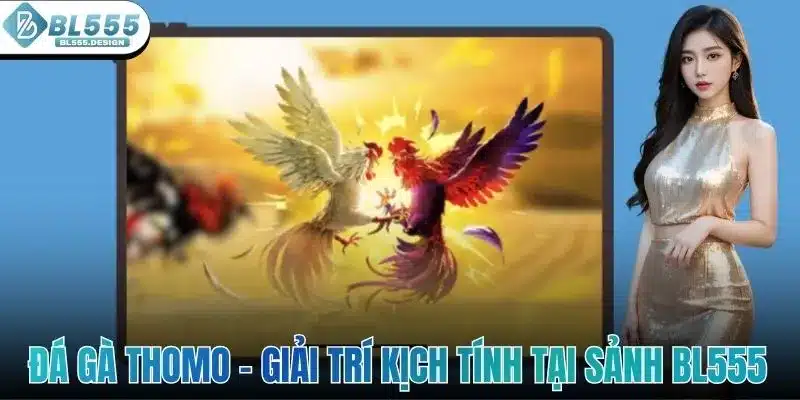 Đá Gà Thomo - Điểm Đến Giải Trí Kịch Tính Tại Sảnh BL555